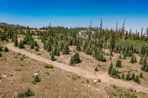View of undeveloped land