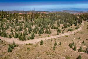 Drone / aerial view of mountains