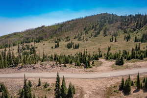 View of mountain background