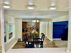 Dining Area from Kitchen Serving Counter