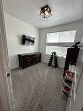 Carpeted bedroom with multiple windows and a textured ceiling