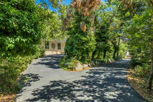 View of asphalt driveway