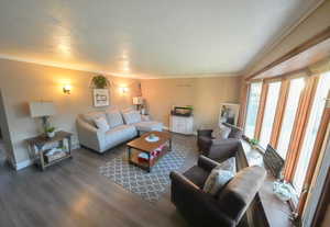 Living room with wood finished floors, crown molding, and a textured ceiling