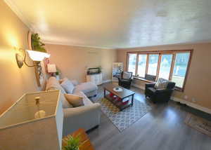Living room with crown molding, wood finished floors, and a textured ceiling
