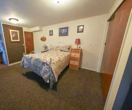 Carpeted bedroom featuring baseboards and a closet