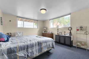 Bedroom with a textured wall, multiple windows, and carpet flooring
