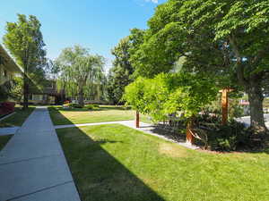 View of grassy yard