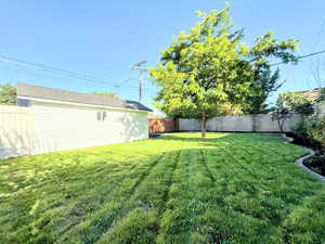 View of fenced backyard