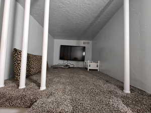 Additional living space featuring carpet flooring