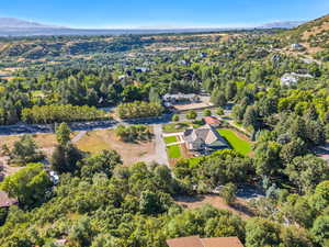 Aerial overview of property's location with mountains and a forest