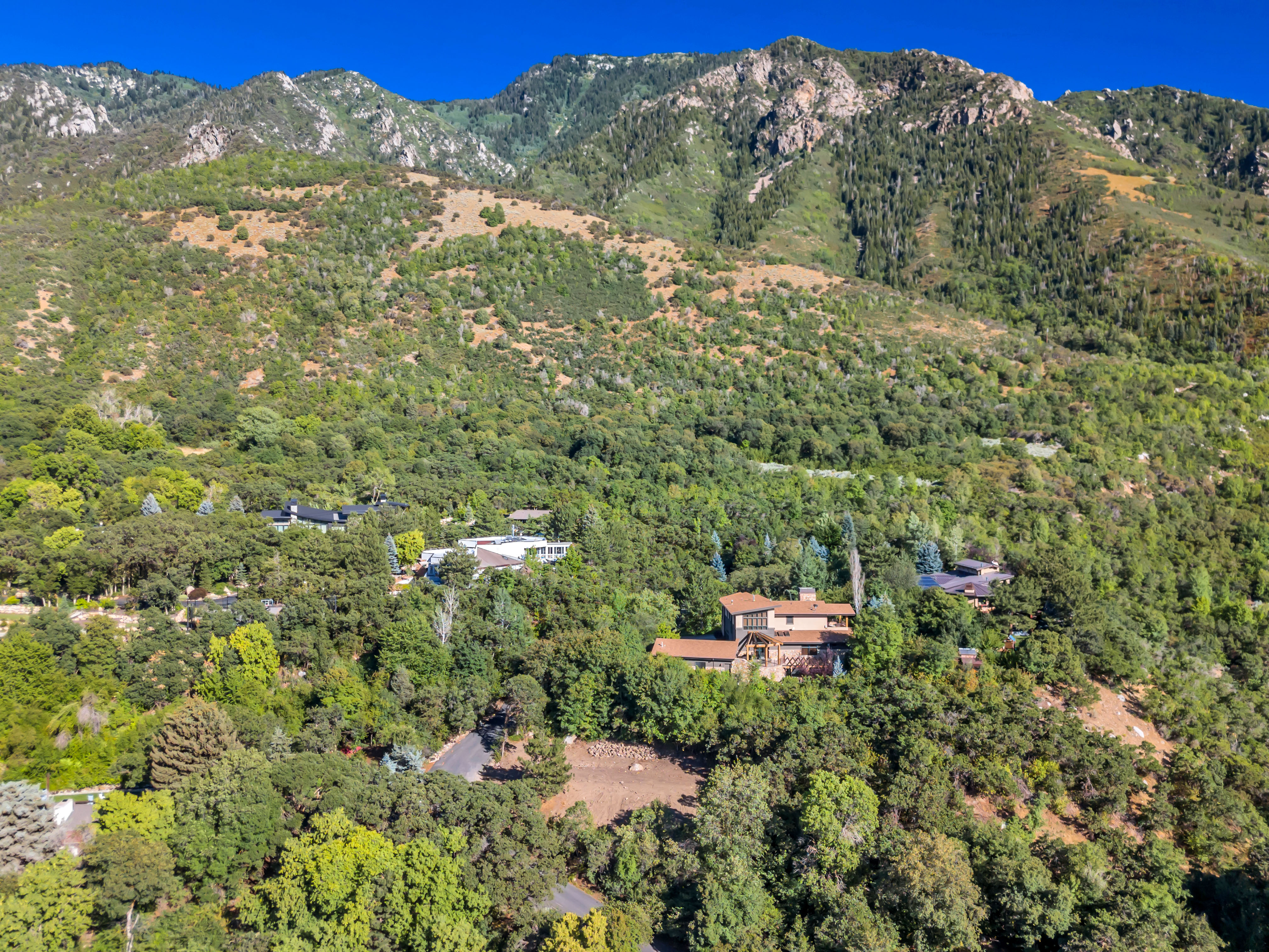 Mountain view with a forest