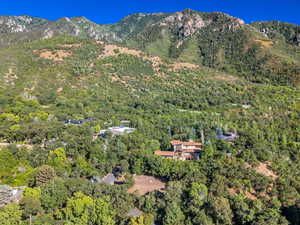 Mountain view with a forest
