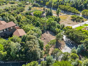 Drone / aerial view of a heavily wooded area