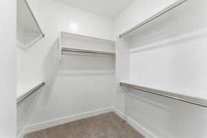 Spacious closet featuring light carpet
