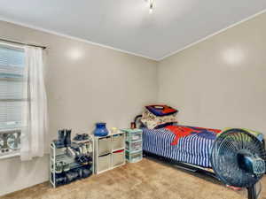 Carpeted bedroom with crown molding