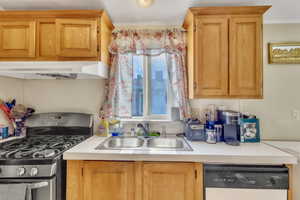 Kitchen featuring stainless steel gas range, dishwashing machine, extractor fan, and light countertops