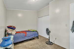 Bedroom with carpet flooring, crown molding, and a closet