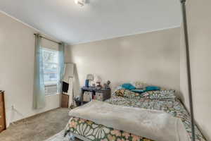 Carpeted bedroom with crown molding and cooling unit