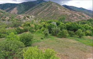 View of mountain background