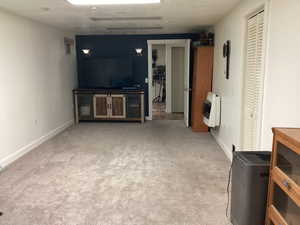 Living room featuring carpet flooring and heating unit