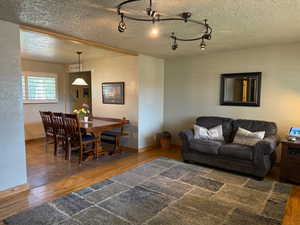 Living room with wood finished floors, a textured ceiling, and track lighting