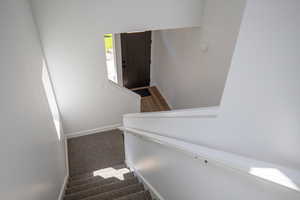Staircase featuring carpet floors and baseboards
