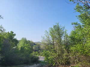 View of mountain background with a heavily wooded area