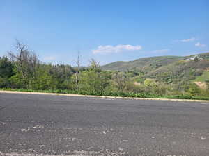 View of mountain backdrop