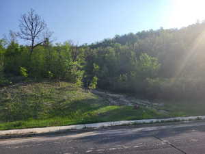 View of asphalt road featuring curbs and a view of trees