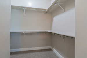 Walk in closet featuring carpet floors