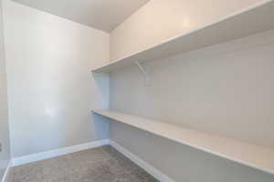 Walk in closet featuring carpet floors