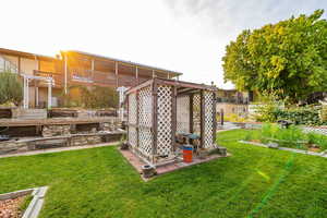 View of grassy yard