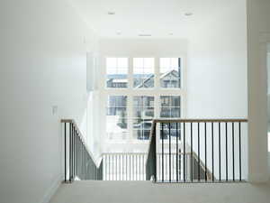 Stairway with carpet