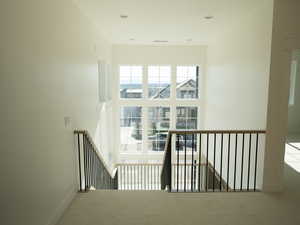 Stairs featuring carpet