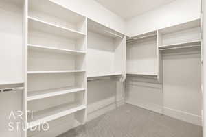 Spacious closet featuring carpet