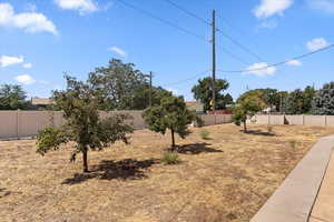 View of fenced backyard