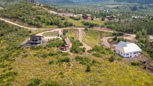 Drone / aerial view of a forest