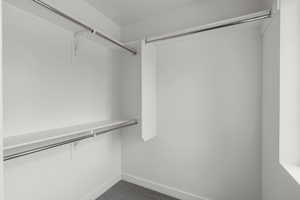 Spacious closet with carpet flooring