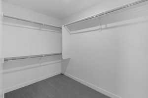 Walk in closet with carpet