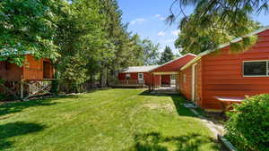 Back yard with treehouse and shop door into the yard