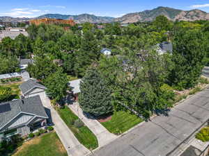 Mature trees throughout the property
