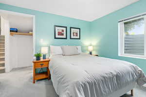 Spacious Basement Bedroom
