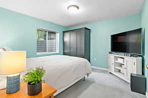 Spacious Basement Bedroom