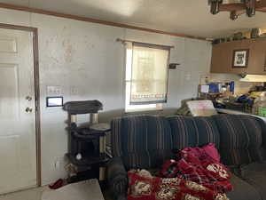 Living area with crown molding and a textured ceiling