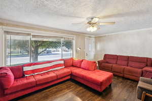 Living area featuring crown molding, wood finished floors, a textured ceiling, and ceiling fan