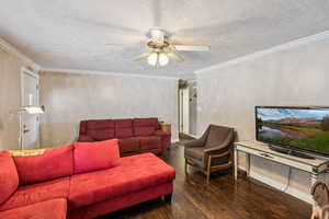Living area with ornamental molding, wood finished floors, a textured ceiling, and ceiling fan