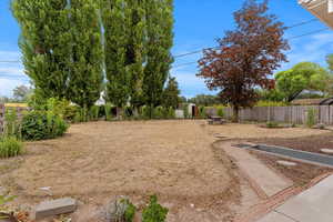 View of yard with a storage shed