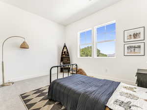 Bedroom with carpet floors and baseboards