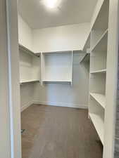 Spacious closet with carpet floors
