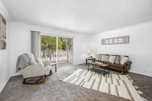Living area with ornamental molding, carpet flooring, and a textured ceiling